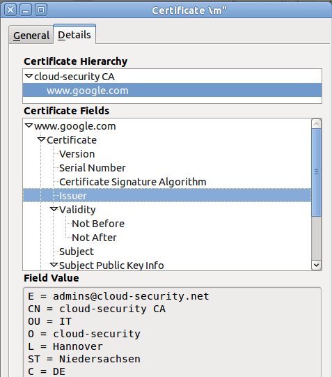 Proxy in the Middle with custom root certificate